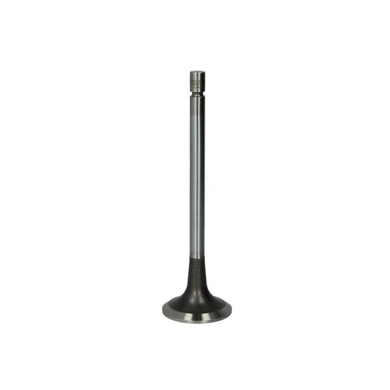 TRW 16205 Exhaust Valve