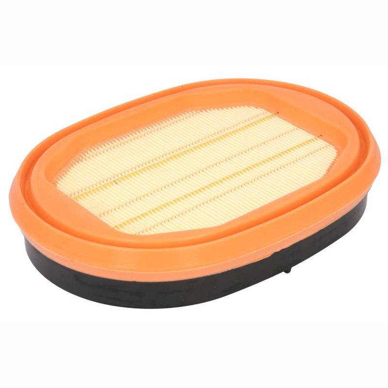 DONALDSON OFF P635979 Air Filter
