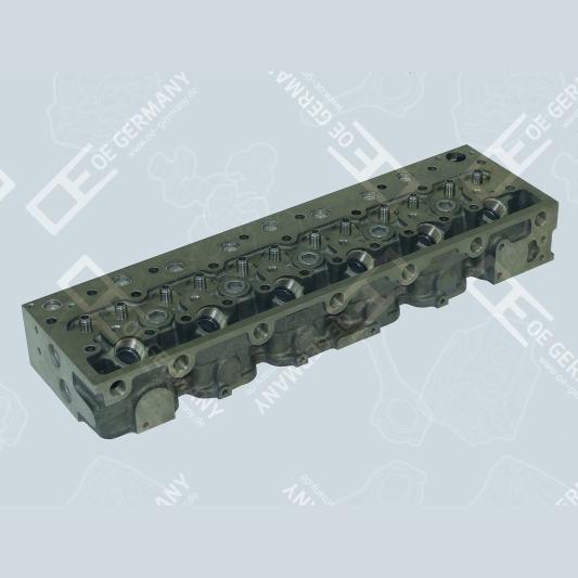 OE GERMANY 010120366001 Cylinder Head