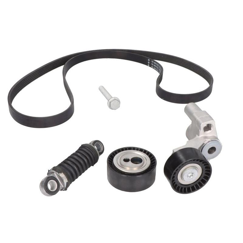 INA 529009710 V-Ribbed Belt Set