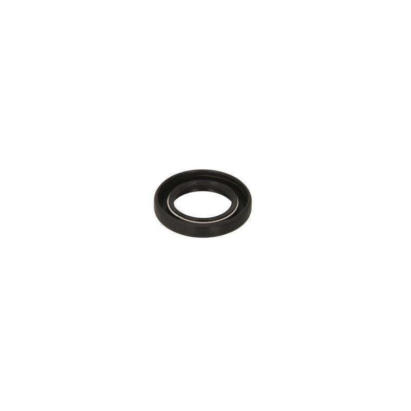 DELPHI 07-408A Seal Ring