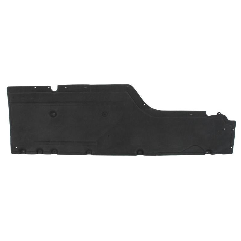 BLIC 6601-02-0066981P Trailer Hitch Underrun Protection
