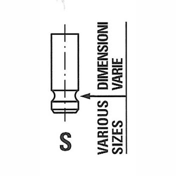 FRECCIA 6973/BMCR Exhaust Valve