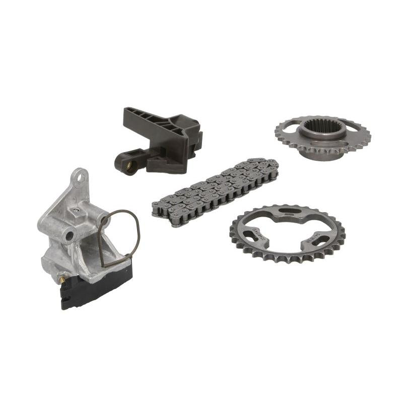 INA 559182230 Timing Chain Kit
