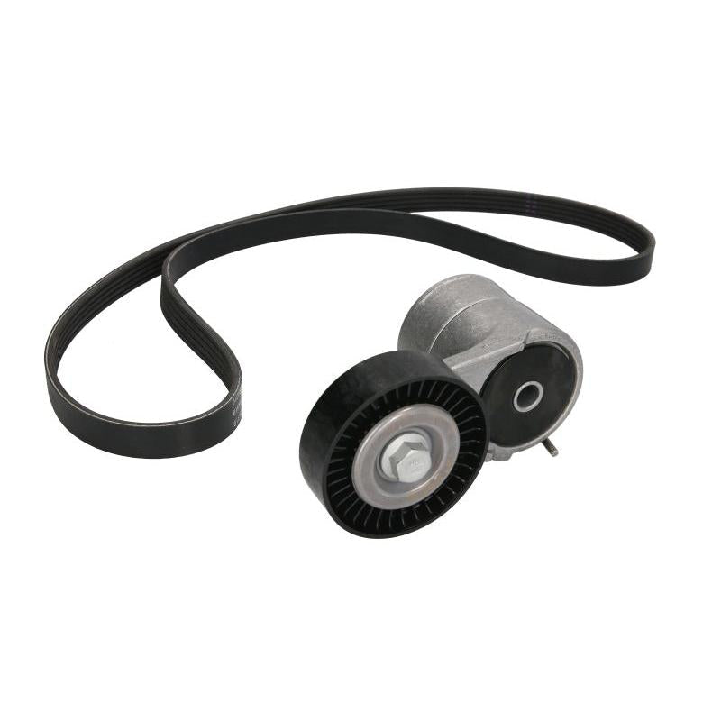 INA 529000810 V-Ribbed Belt Set