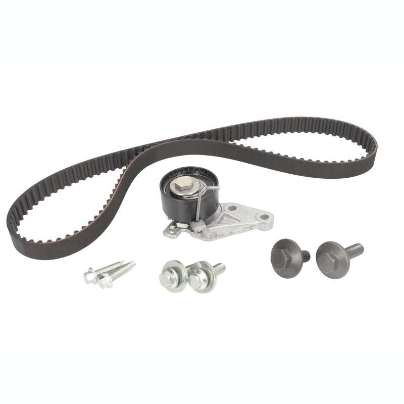 INA 530014010 Timing Belt Set