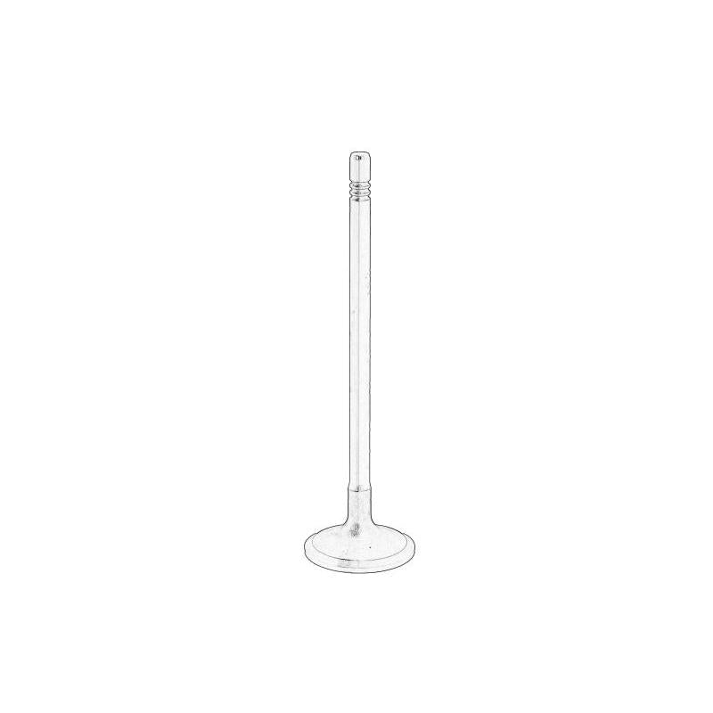 OE IVECO 504081062 Exhaust Valve