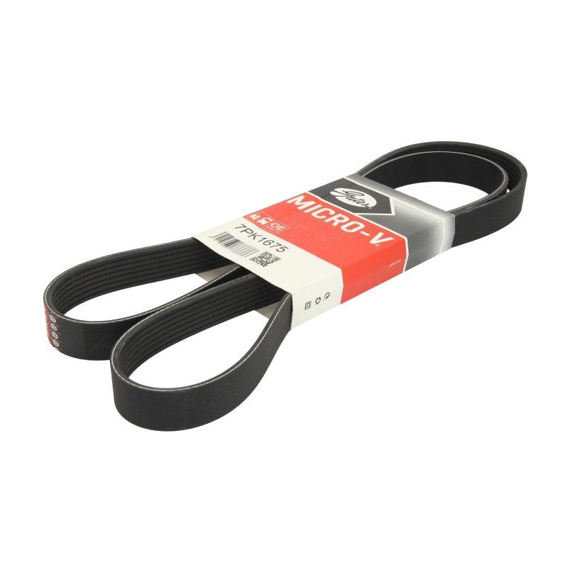 GATES GAT7PK1675 V-Ribbed Belt