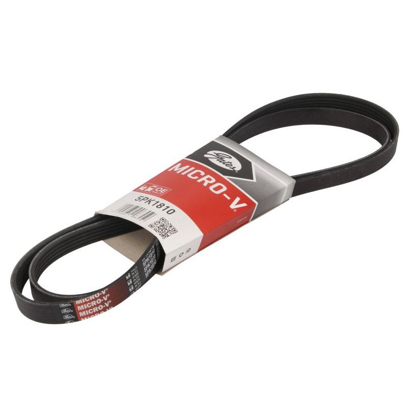 GATES GAT5PK1810 V-Ribbed Belt