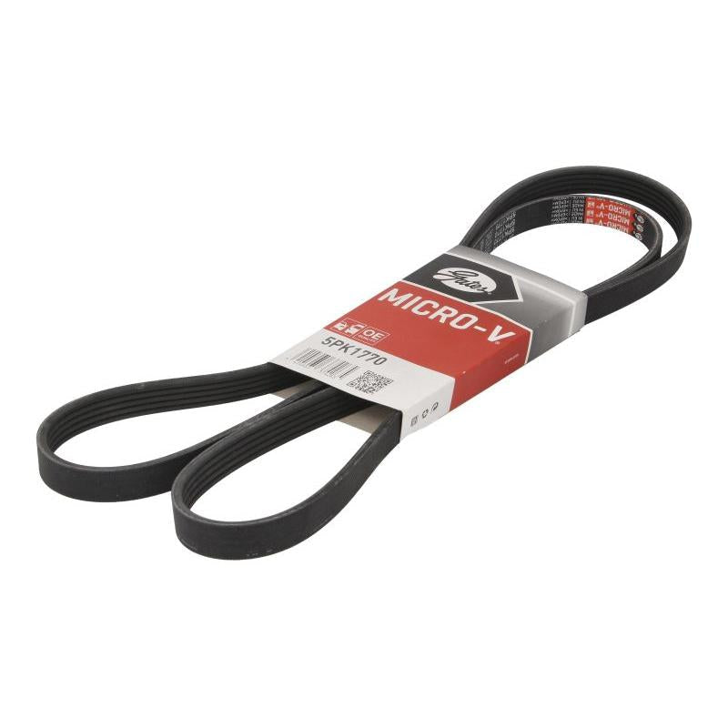 GATES GAT5PK1770 V-Ribbed Belt