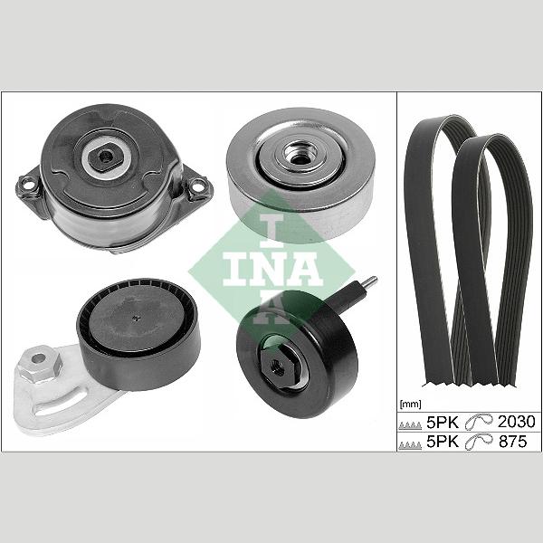 INA 529025310 V-Ribbed Belt Set