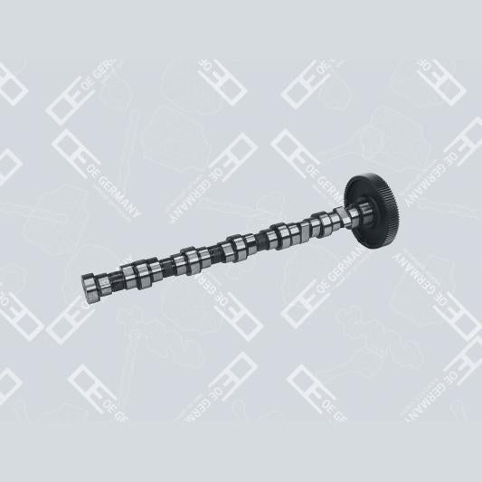 OE GERMANY 040500201306 Camshaft