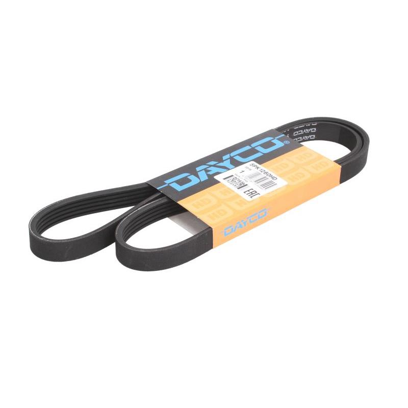 DAYCO DAY5PK1260HD V-Ribbed Belt