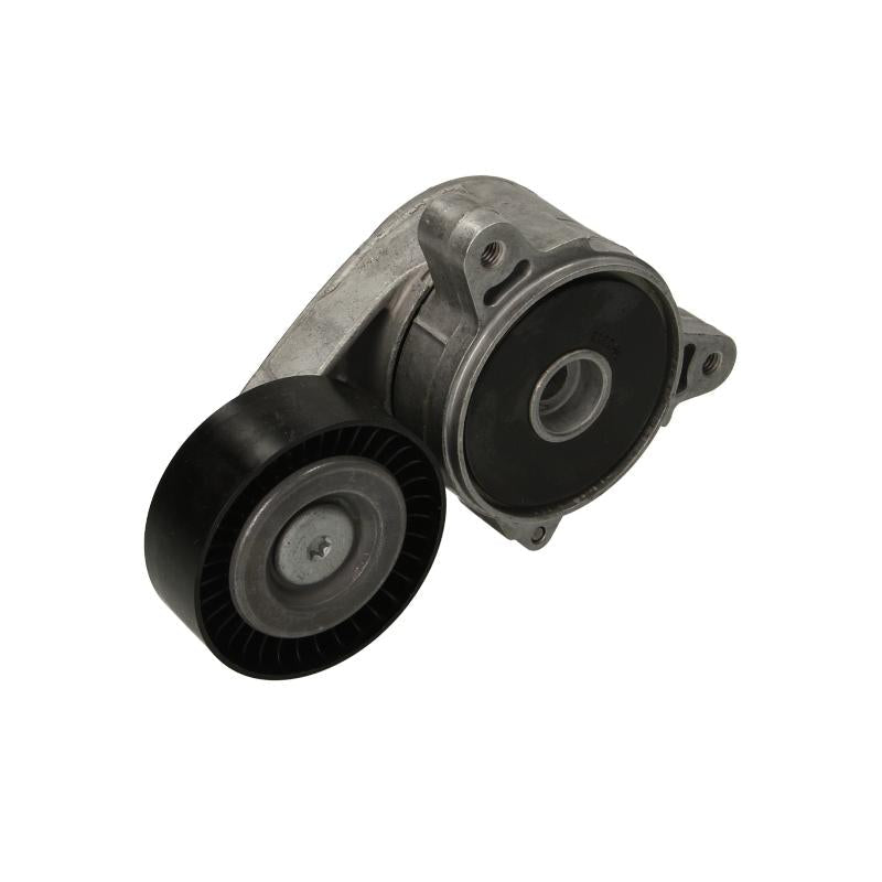 INA 534036110 V-Ribbed Belt Tensioner Lever