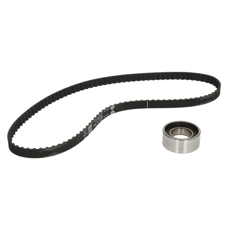 INA 530000910 Timing Belt Set
