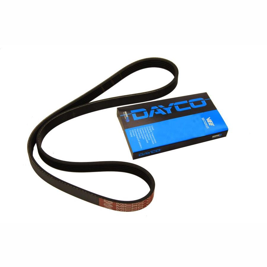 DAYCO DAY5PK1130 V-Ribbed Belt