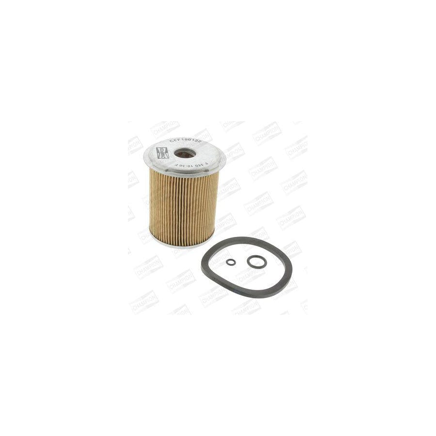 Champion Cff100122 Fuel Filter