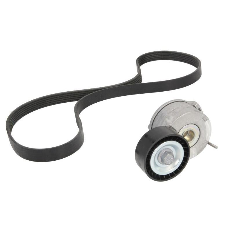 INA 529022210 V-Ribbed Belt Set