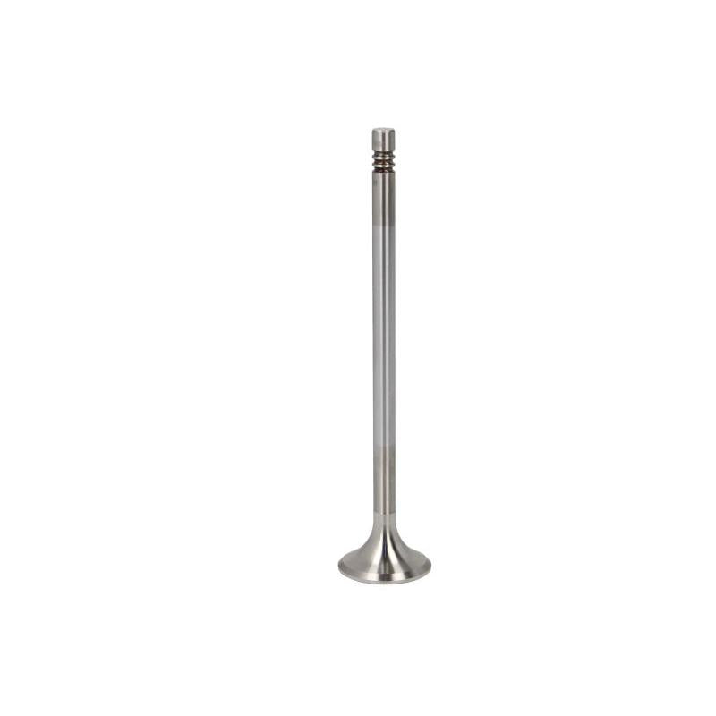 TRW 22301 Exhaust Valve