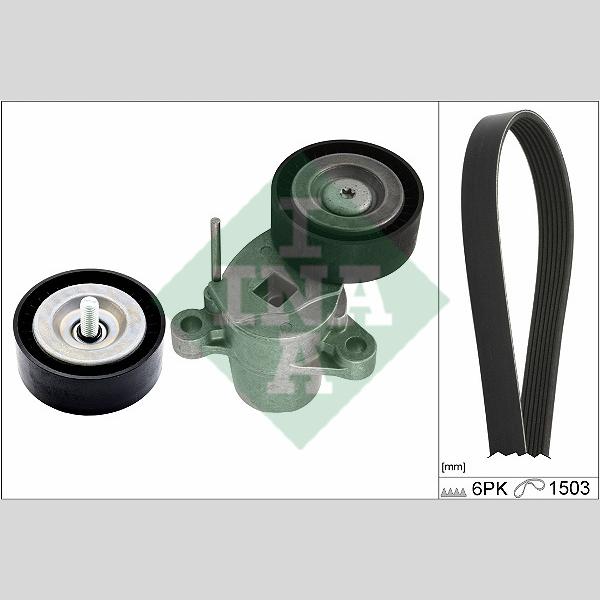 INA 529033810 V-Ribbed Belt Set