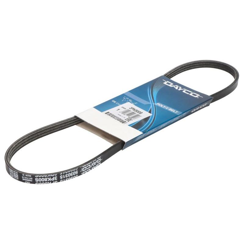 DAYCO DAY3PK800S V-Ribbed Belt