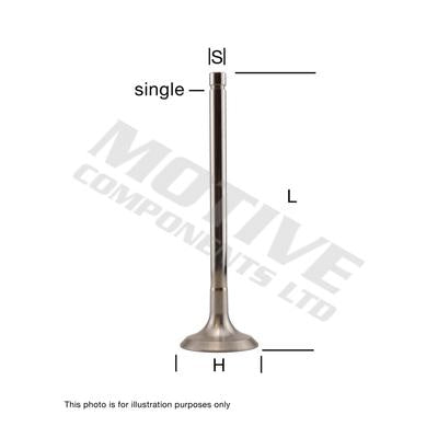 MOTIVE MOTEV4144 Exhaust Valve