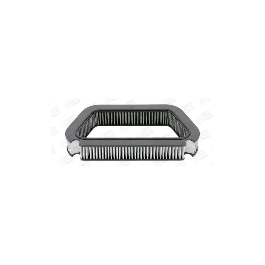 Champion Ccf0197C Pollen Filter for Audi A8 D3 (4E2, 4E8)