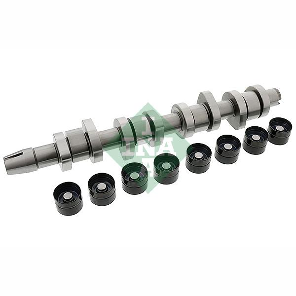 INA 428004230 Camshaft Kit