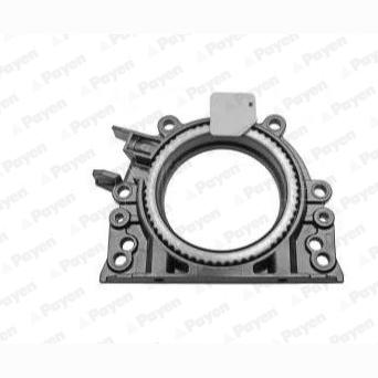 PAYEN LK5019 Crankshaft Shaft Seal