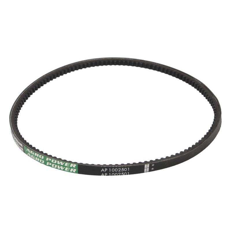 OPTIBELT 1002501AP V-Belt
