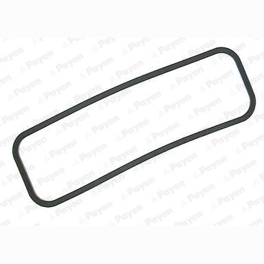 PAYEN JM315 Cylinder Head Cover Gasket