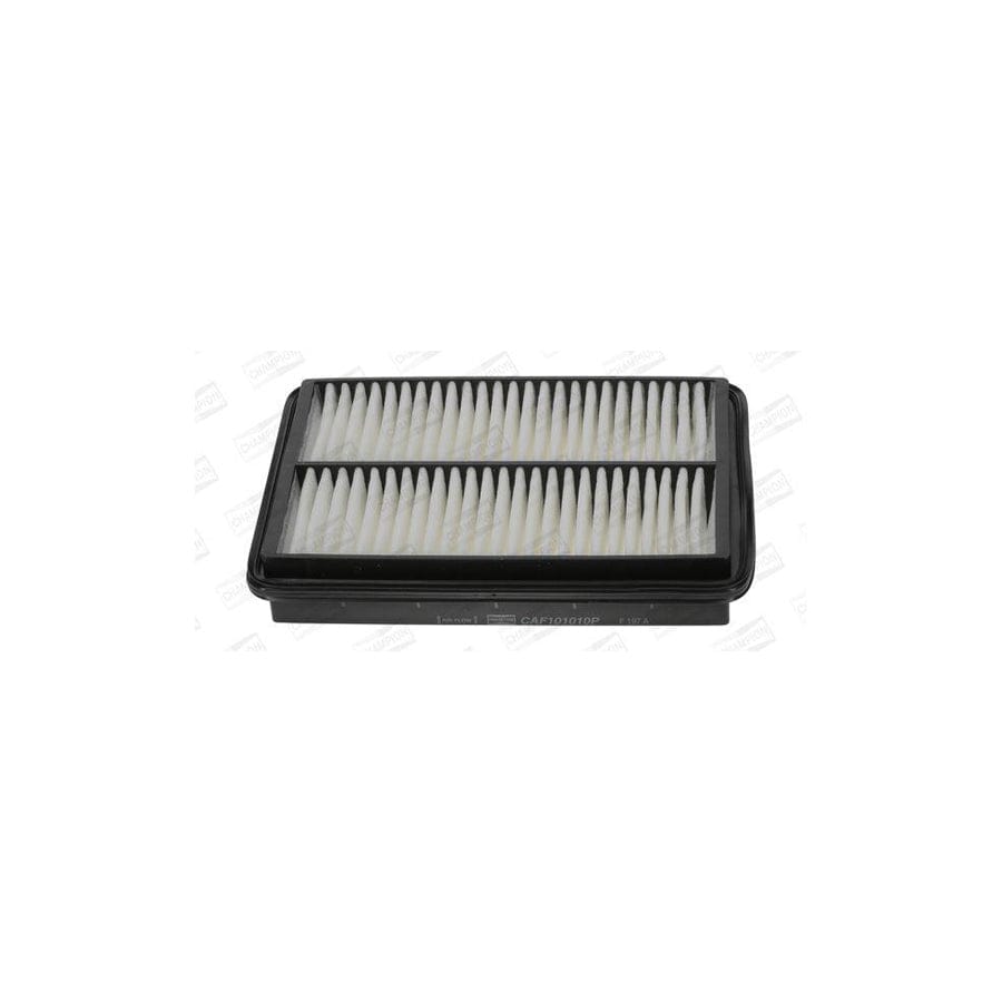 Champion Caf101010P Air Filter