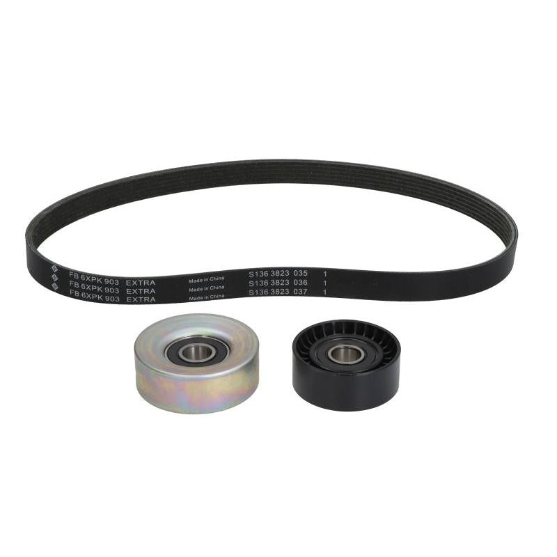INA 529053110 V-Ribbed Belt Set