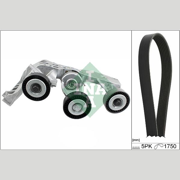 INA 529008110 V-Ribbed Belt Set