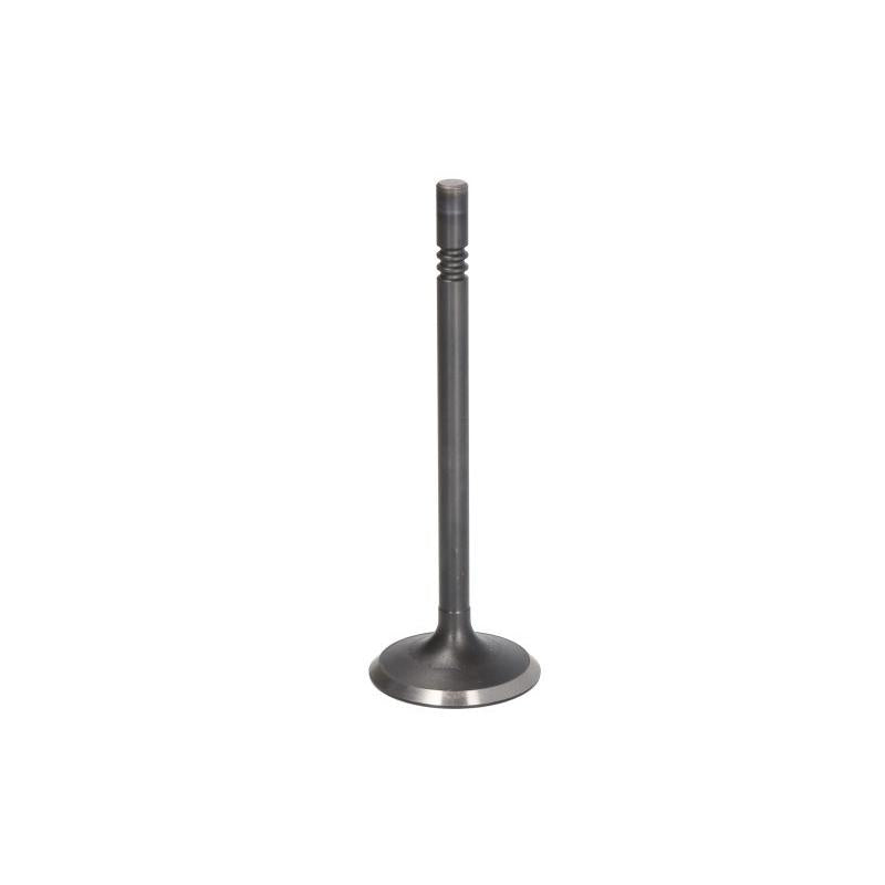 DNJ EV428 Exhaust Valve