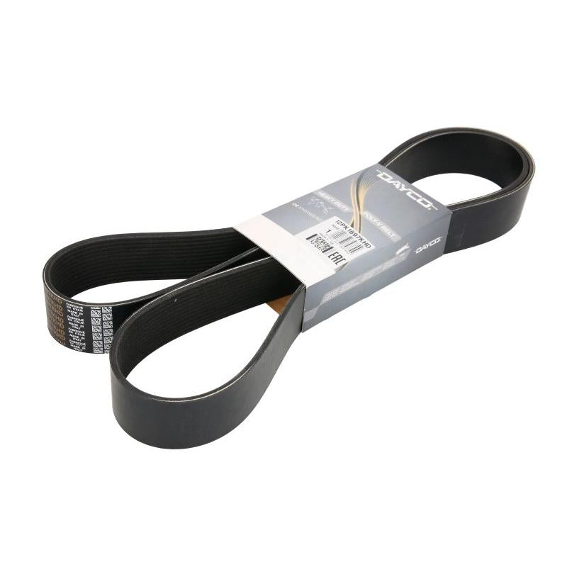 DAYCO DAY12PK1897KHD V-Ribbed Belt