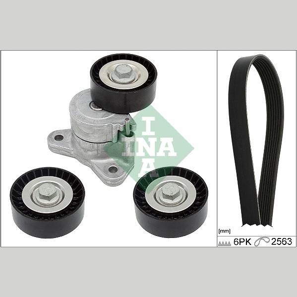 INA 529019110 V-Ribbed Belt Set