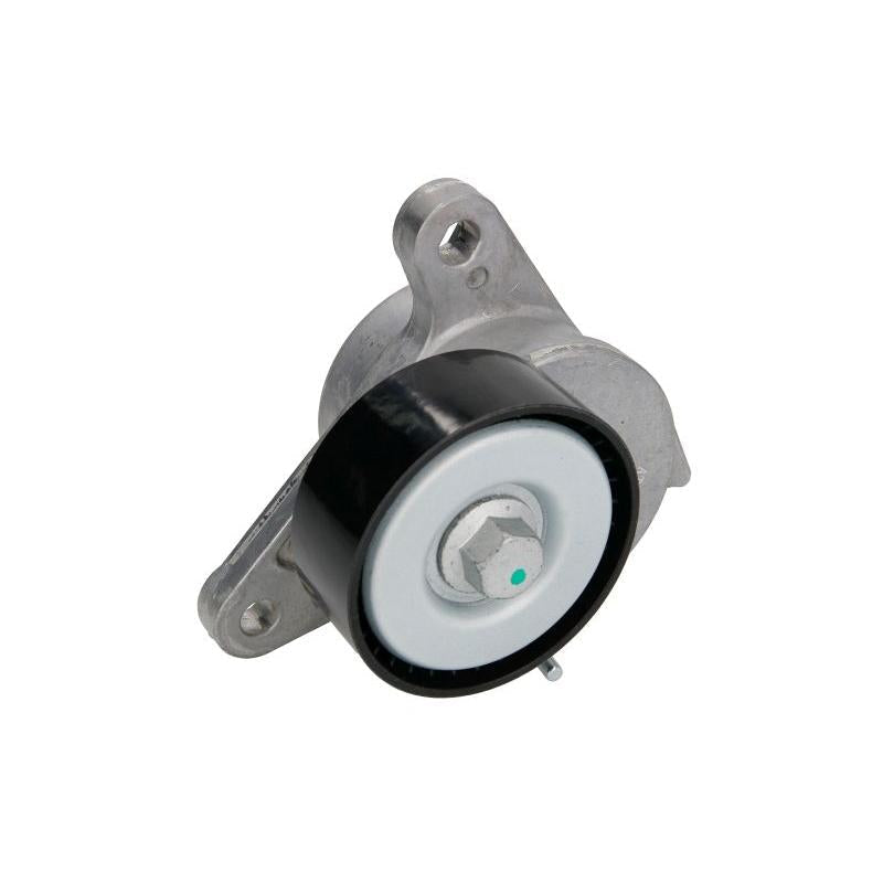 BTA E3W0006BTA V-Ribbed Belt Tensioner Lever
