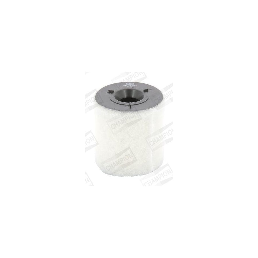 Champion Caf100487C Air Filter