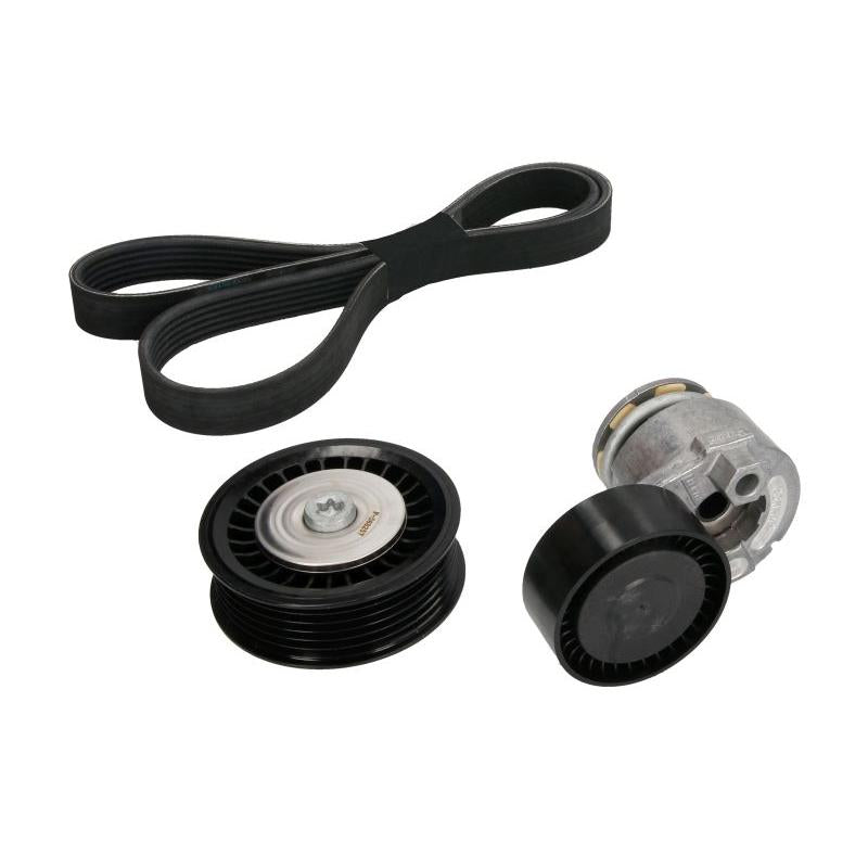 INA 529016510 V-Ribbed Belt Set