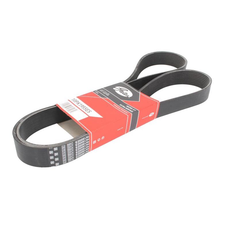 GATES GAT10PK1955ES V-Ribbed Belt
