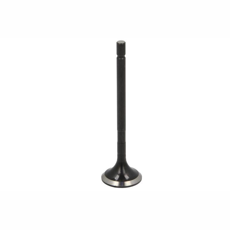 NE 148096001000 Exhaust Valve