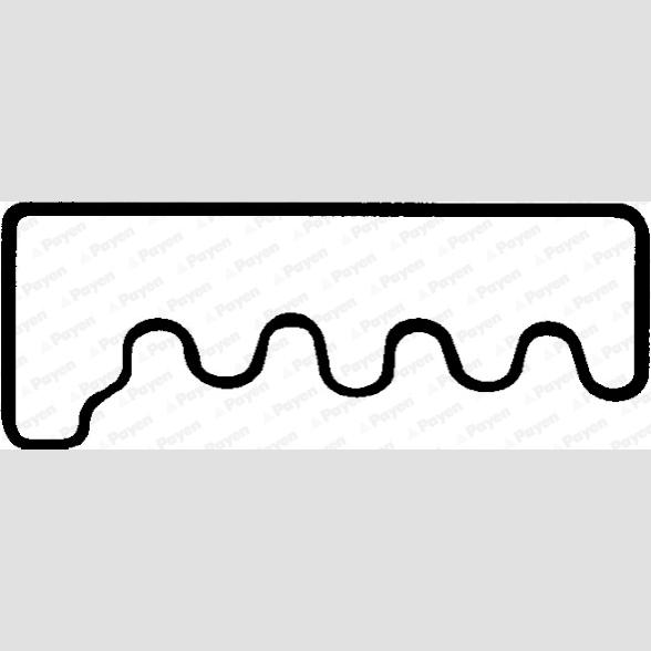 PAYEN JM848 Cylinder Head Cover Gasket