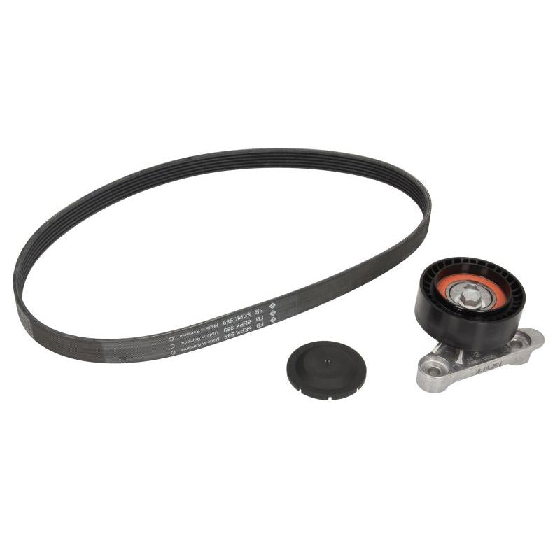 INA 529016010 V-Ribbed Belt Set