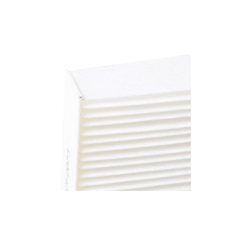 Champion Ccf0073 Pollen Filter