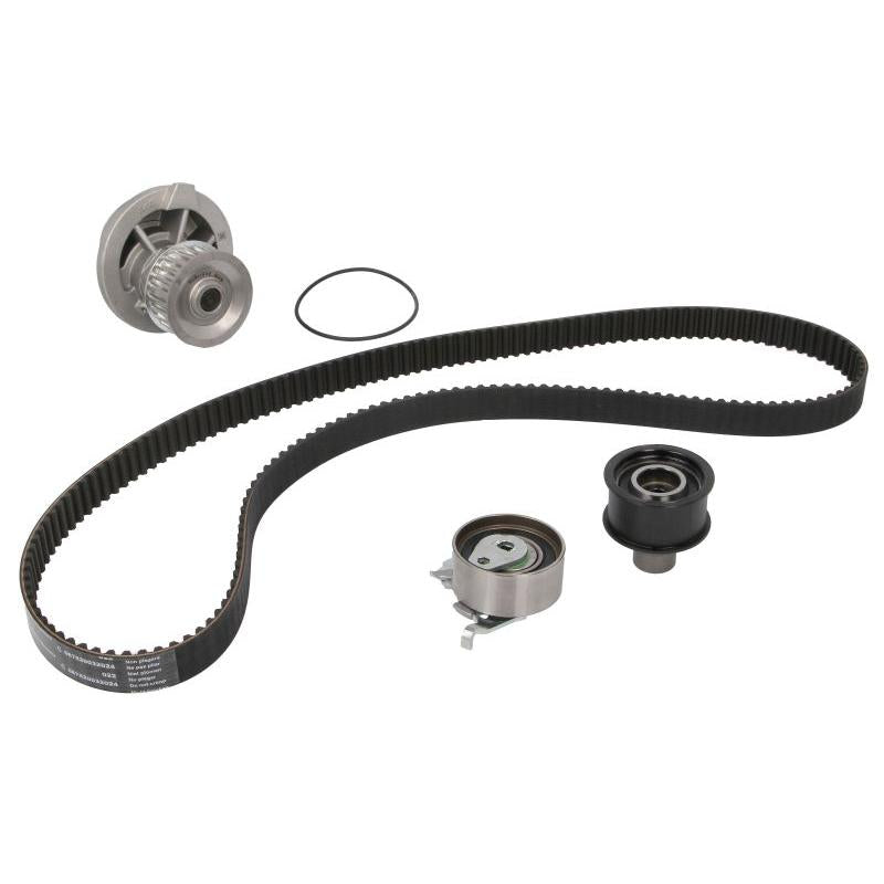 INA 530007930 Water Pump & Timing Belt Kit