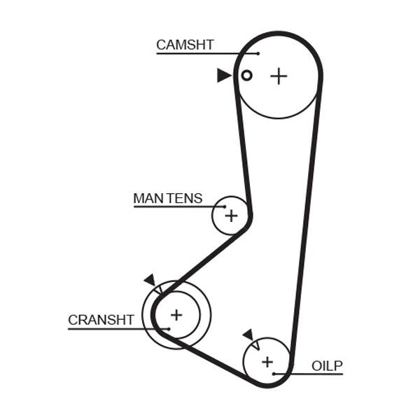GATES GAT5256XS Timing Belt