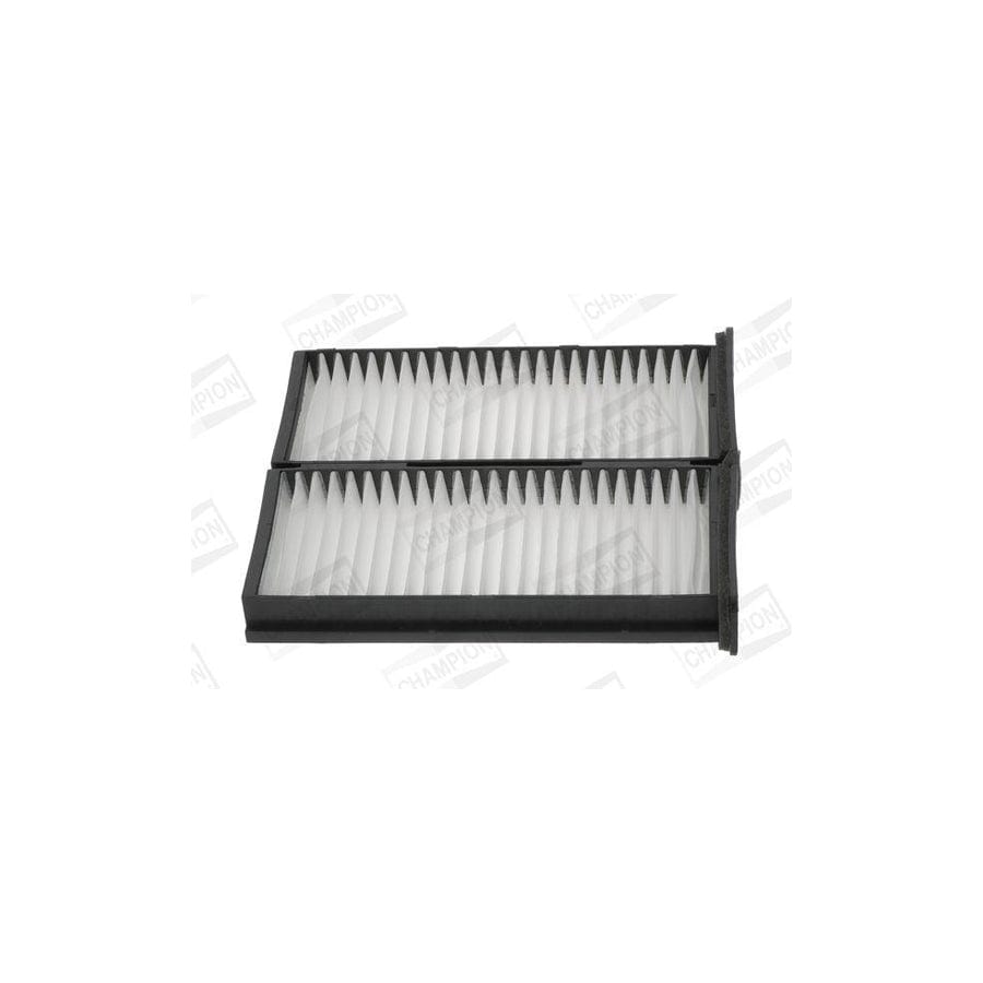 Champion Ccf0225 Pollen Filter