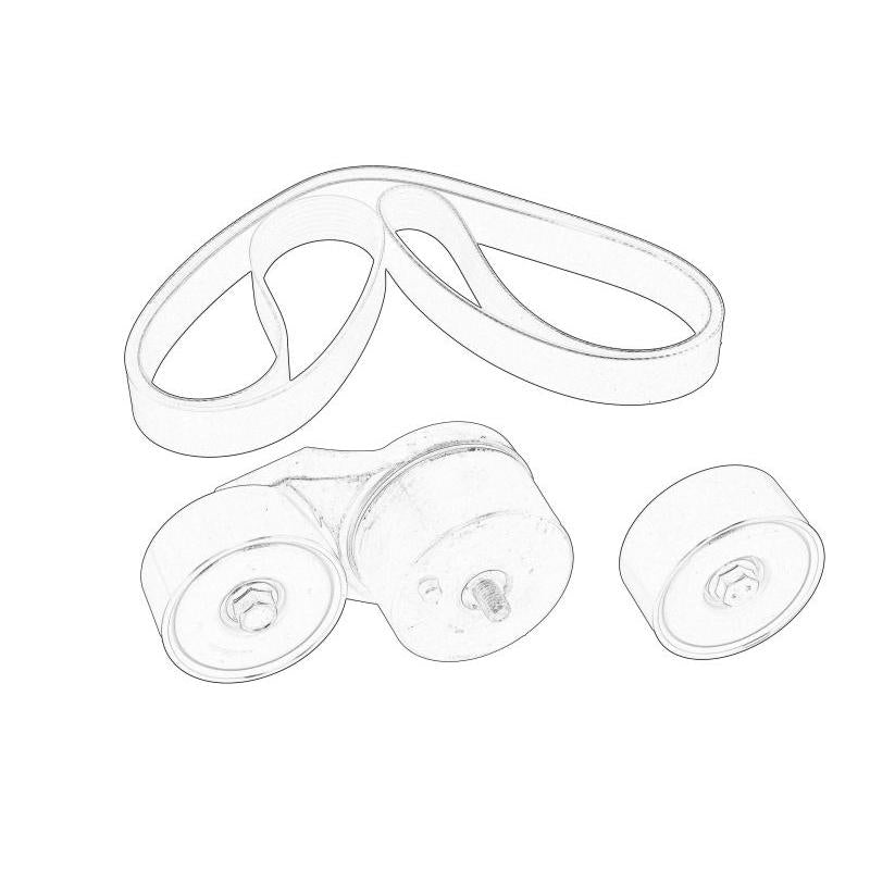DAF DAF1714901 V-Ribbed Belt Set