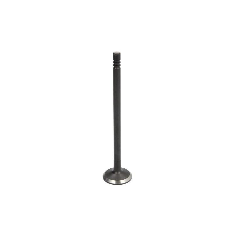 DNJ EV143 Exhaust Valve